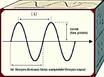 genlik-nedir.jpg