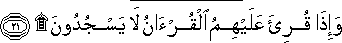 84_21.gif