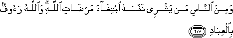2_207.gif
