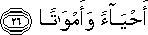 77_26.gif