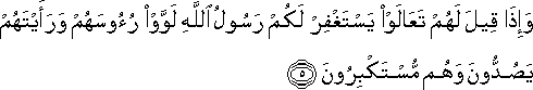 63_5.gif