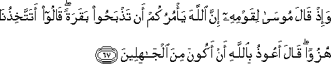 2_67.gif