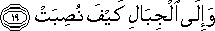 88_19.gif