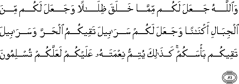 16_81.gif