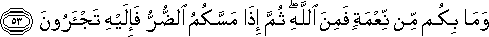16_53.gif