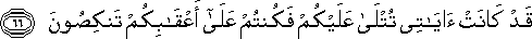 23_66.gif