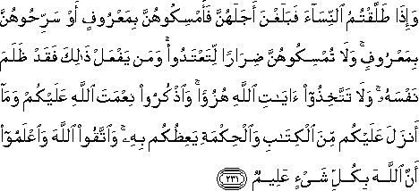 2_231.gif