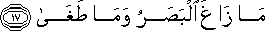 53_17.gif