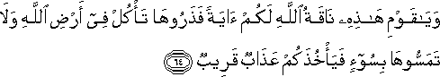 11_64.gif