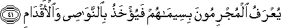 55_41.gif