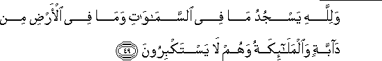 16_49.gif