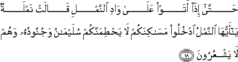 27_18.gif