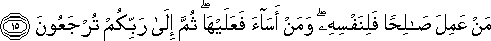 45_15.gif