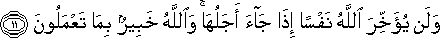 63_11.gif