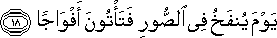 78_18.gif