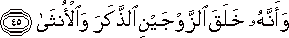 53_45.gif