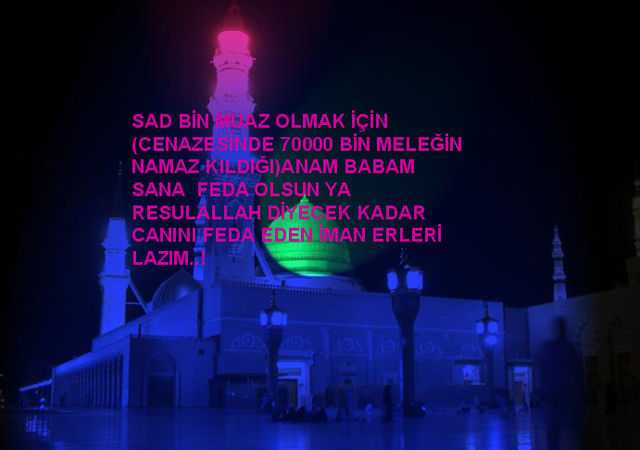 290840003e9ee0a6c3e783c7ceab81eb6e8718d.png