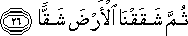 80_26.gif