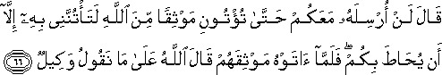 12_66.gif