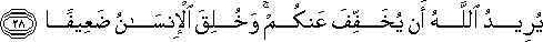 4_28.gif