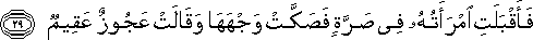 51_29.gif