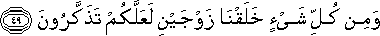 51_49.gif