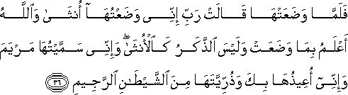 3_36.gif