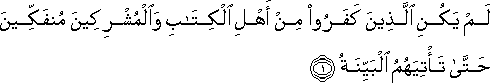 98_1.gif