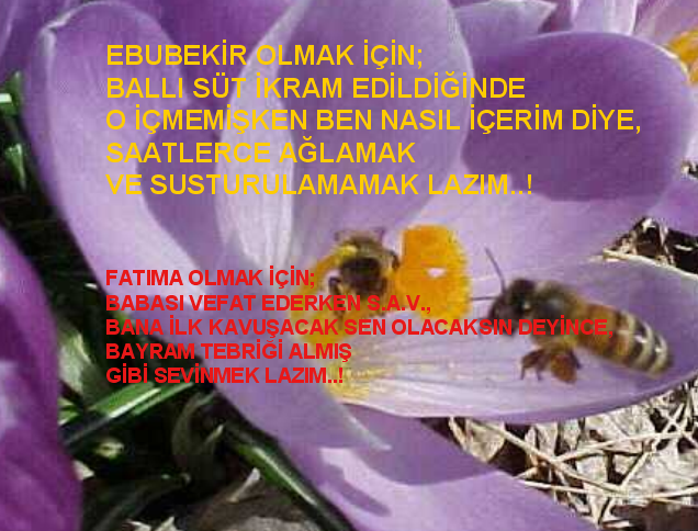 2908384788caa0098e04af6c91af6efb776805e.png