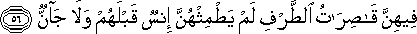 55_56.gif