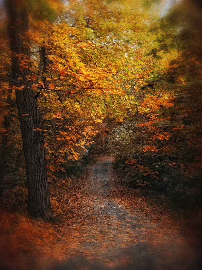 0_c7327_70e282e0_orig.jpg