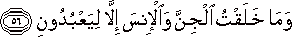 51_56.gif