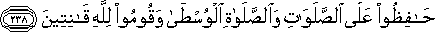 2_238.gif