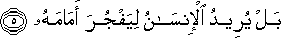 75_5.gif