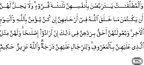 2_228.gif