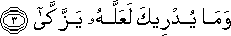 80_3.gif