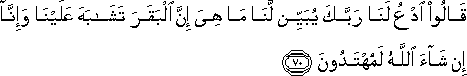 2_70.gif