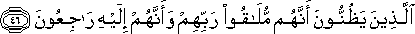 2_46.gif