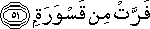 74_51.gif