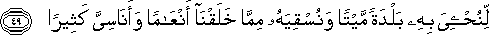 25_49.gif