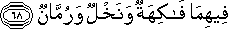 55_68.gif