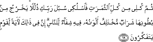 16_69.gif