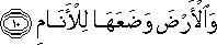 55_10.gif