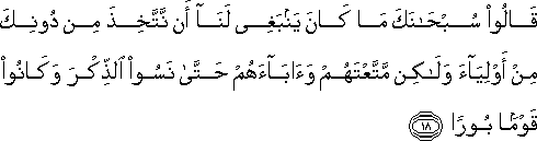 25_18.gif