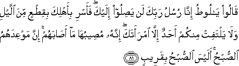 11_81.gif
