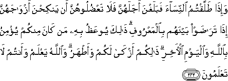 2_232.gif