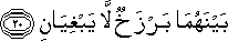 55_20.gif