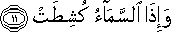 81_11.gif