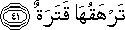 80_41.gif