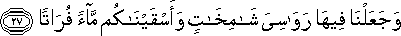 77_27.gif
